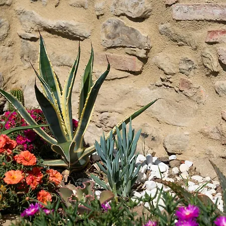 L'antico Casale Tuscany Charme & Private Pool 5-star Сasa de vacaciones